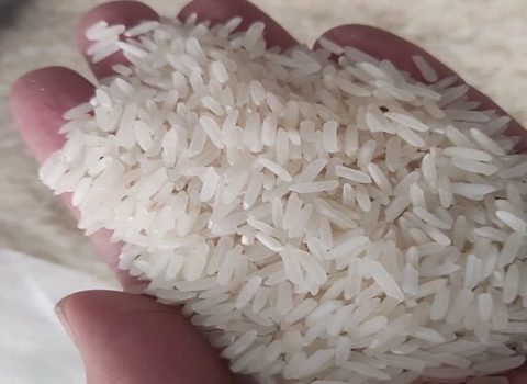 قیمت خرید برنج مازندران ندا + فروش ویژه